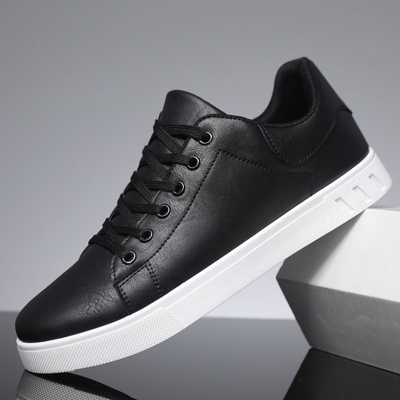 Ashton - Timeless Sneakers