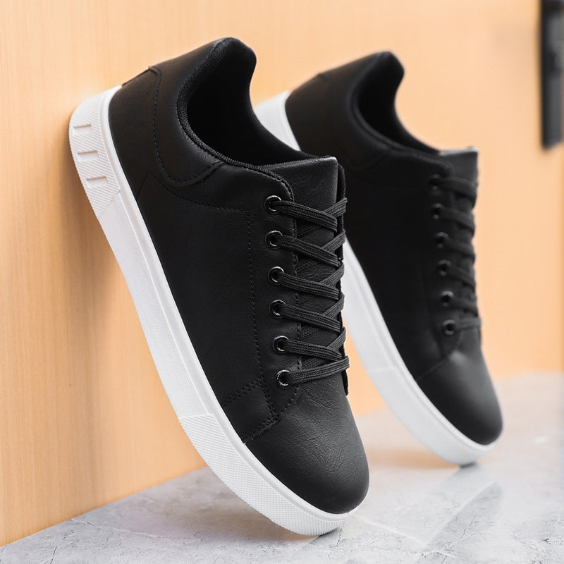 Ashton - Timeless Sneakers