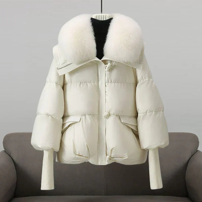 India | Perfect Autumn Coat