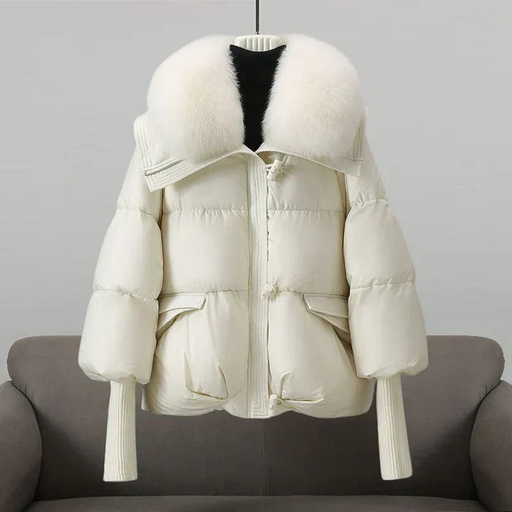 India | Perfect Autumn Coat