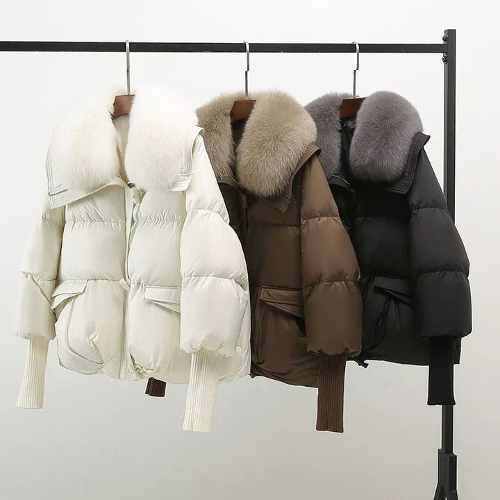 India | Perfect Autumn Coat