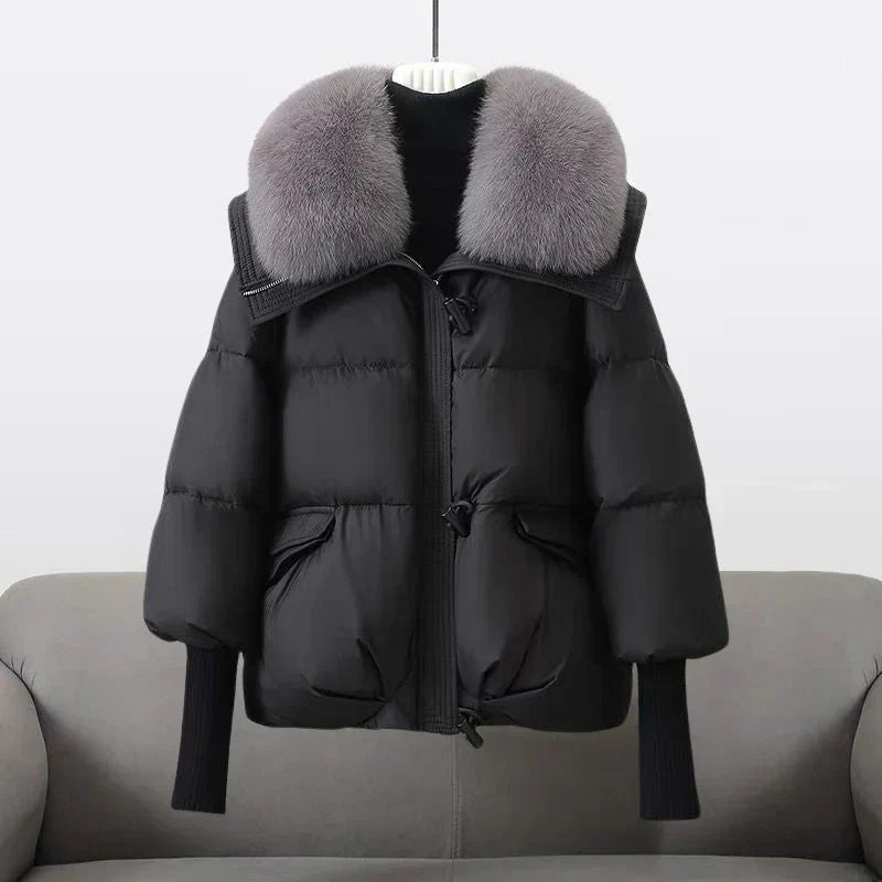 India | Perfect Autumn Coat