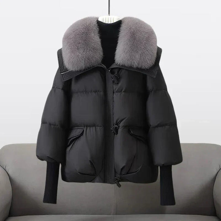 India | Perfect Autumn Coat